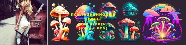 mdma Бородино