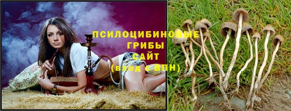 гидропоника Богородск