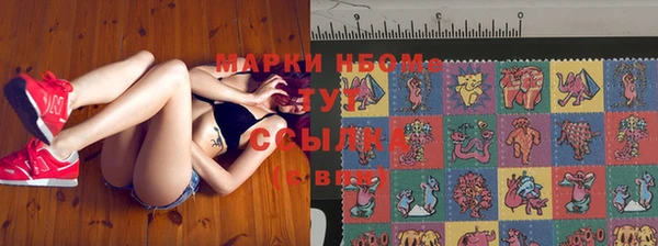 mdma Бородино