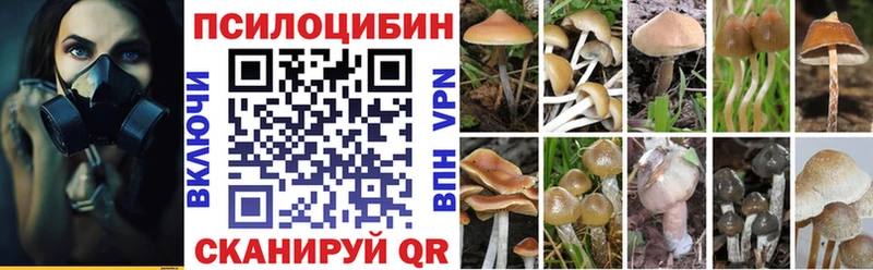 KRAKEN вход  Новосокольники  Псилоцибиновые грибы Magic Shrooms 